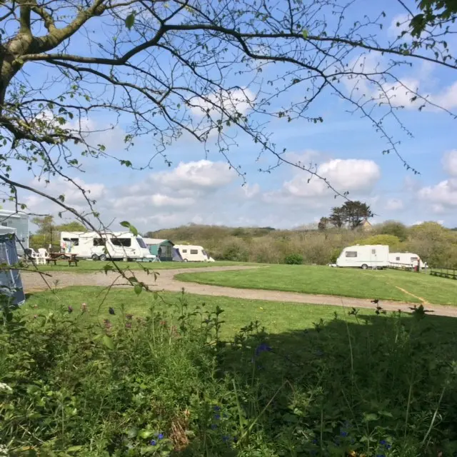 Skyburriowe Farm